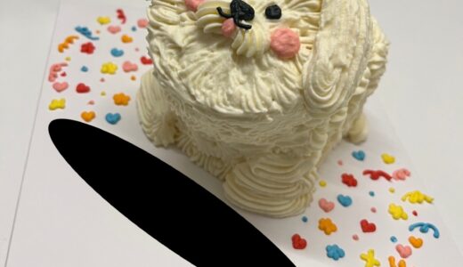 韓国の誕生日ケーキは「ヘムニケーキ(햄니케이크)」がオススメ！お弁当ケーキや犬のケーキを紹介！！