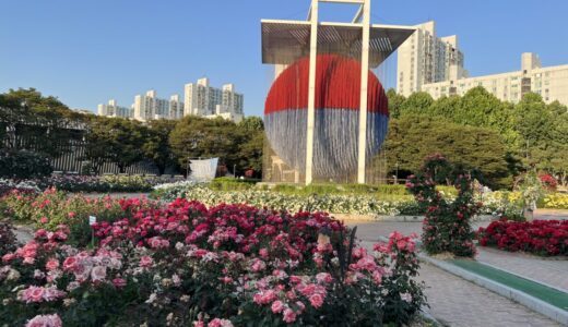 【韓国ソウル】オリンピック公園バラ広場「バラ祭り」についてご紹介！