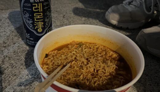 【韓国無料案内#8】漢江(ハンガン)公園でラーメンとドローンライトショー！